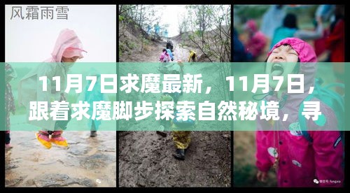第1915页