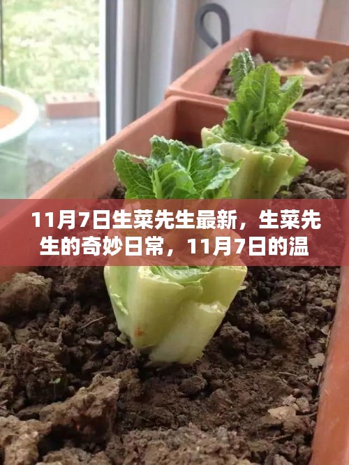 精品展示 第320页