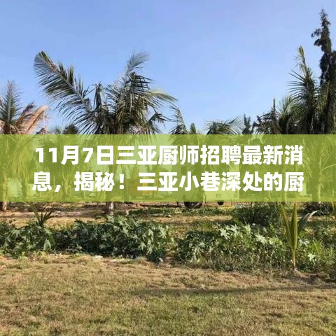 在线留言 第314页