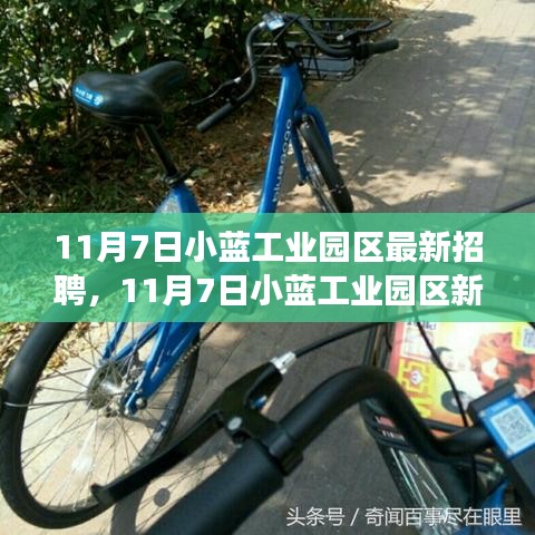 精品展示 第318页