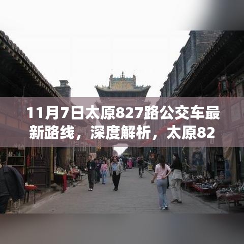 在线留言 第310页