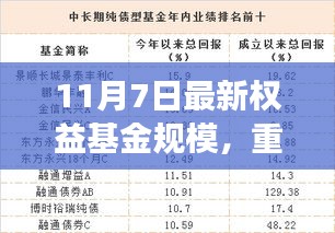 关于我们 第304页