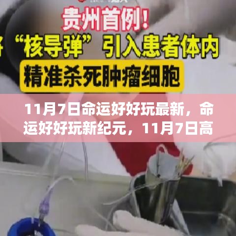 精品展示 第312页