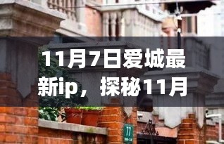 新闻中心 第306页