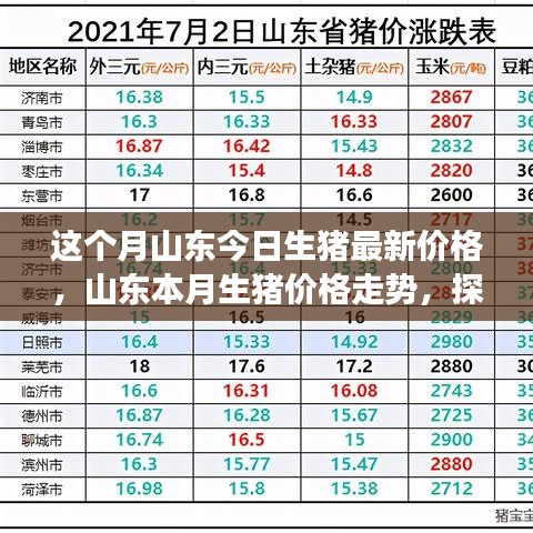 精品展示 第287页