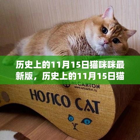 新闻中心 第257页