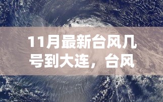 新闻中心 第243页