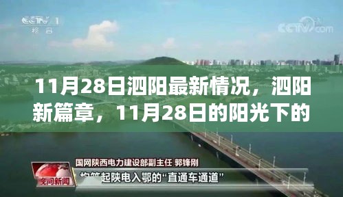 营销网络 第225页