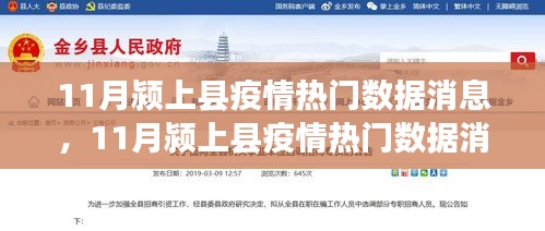 花开无言 第11页