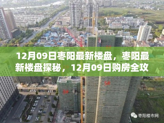 张弓挟矢 第3页