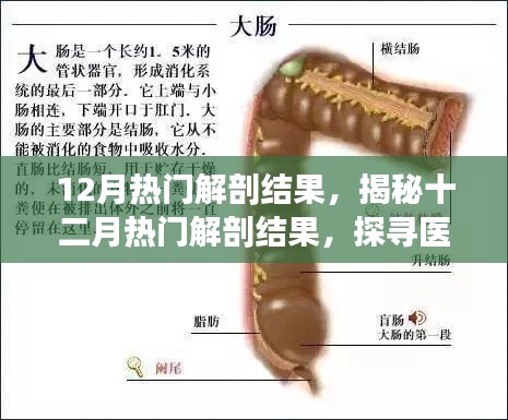 驾轻就熟 第3页