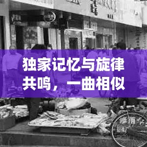 远山芙蓉 第2页
