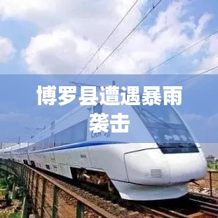 新闻中心 第99页