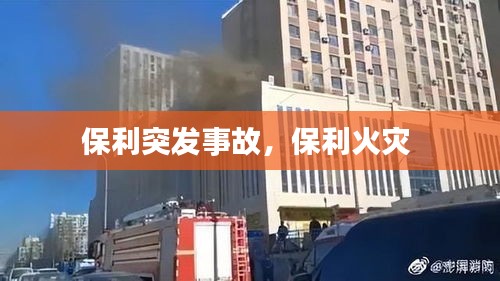 人贵自立 第2页