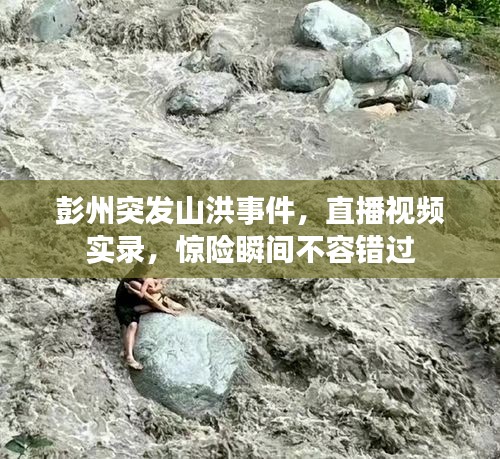 在线留言 第62页