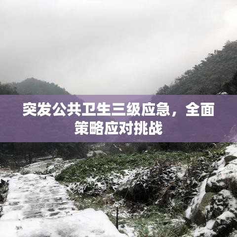 关于我们 第59页