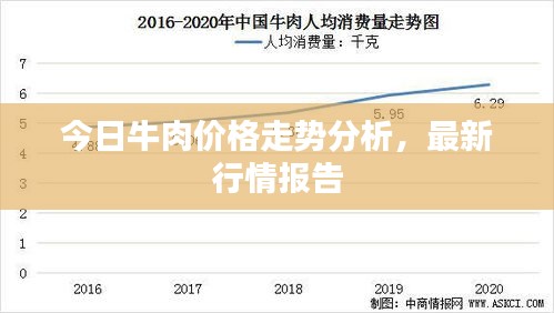 在线留言 第56页
