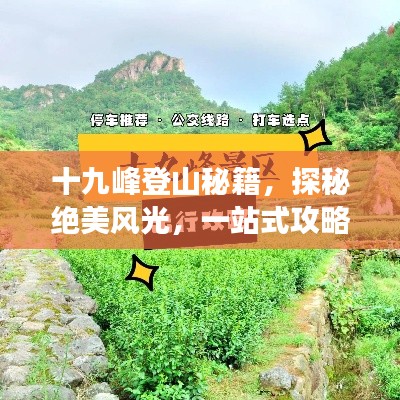 心慌意乱