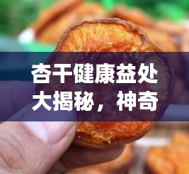 在线留言 第18页