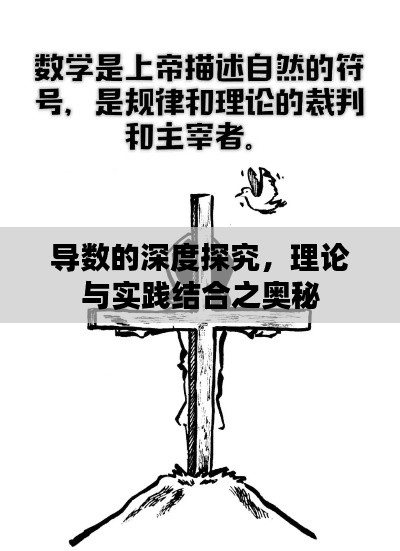 精品展示 第19页