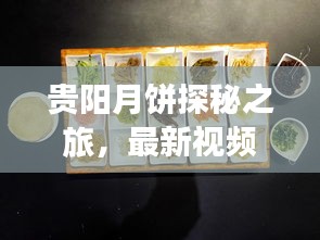 精品展示 第14页