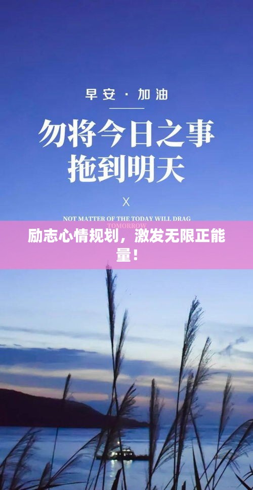 雍容华贵