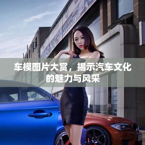 自作主张