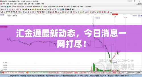 在线留言 第5页