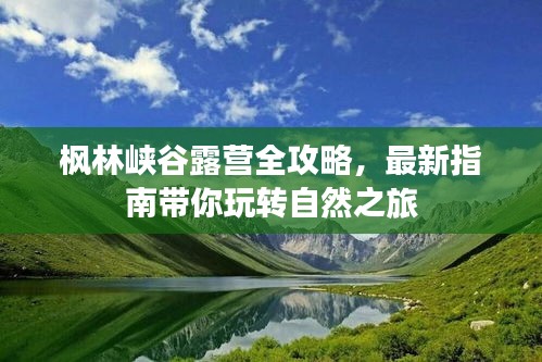 全神贯注