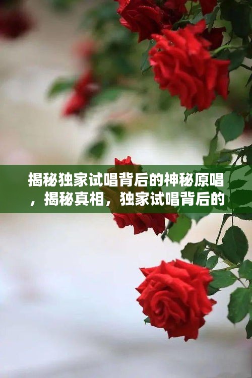 揭秘独家试唱背后的神秘原唱，揭秘真相，独家试唱背后的原唱究竟是谁？