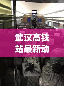 武汉高铁站最新动态速递，今日消息一网打尽！
