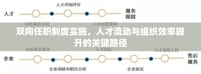 候鸟南飞